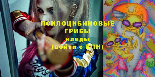 спиды Алексин