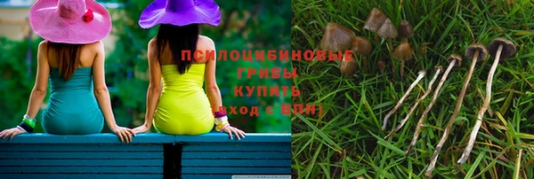 крисы Алексеевка